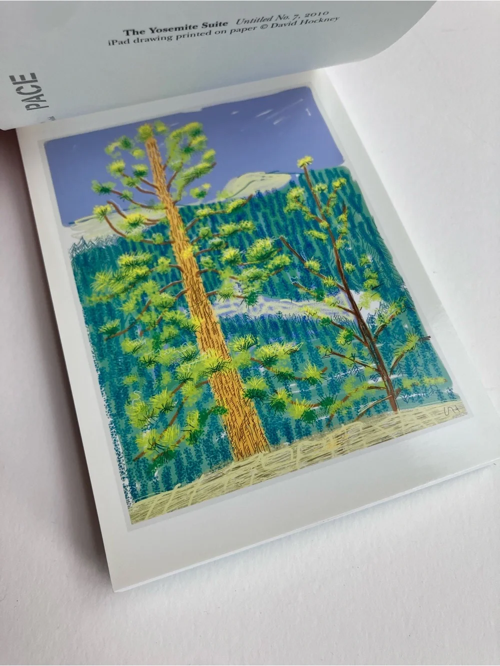 David Hockney: The Yosemite Suite - Postcard book